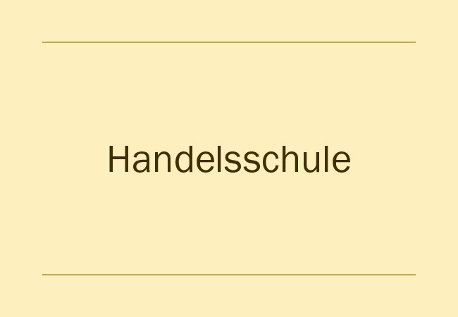 Bildungsgang Handelsschule