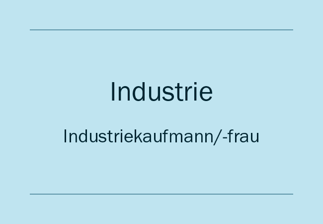 Bildungsgang Industrie