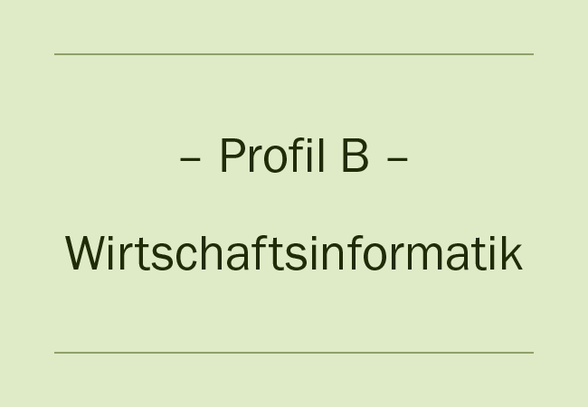 Profil B – Wirtschaftsinformatik
