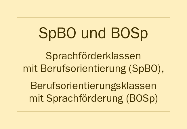 Bildungsgang SpBO/BOSp