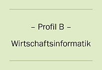 Profil B – Wirtschaftsinformatik